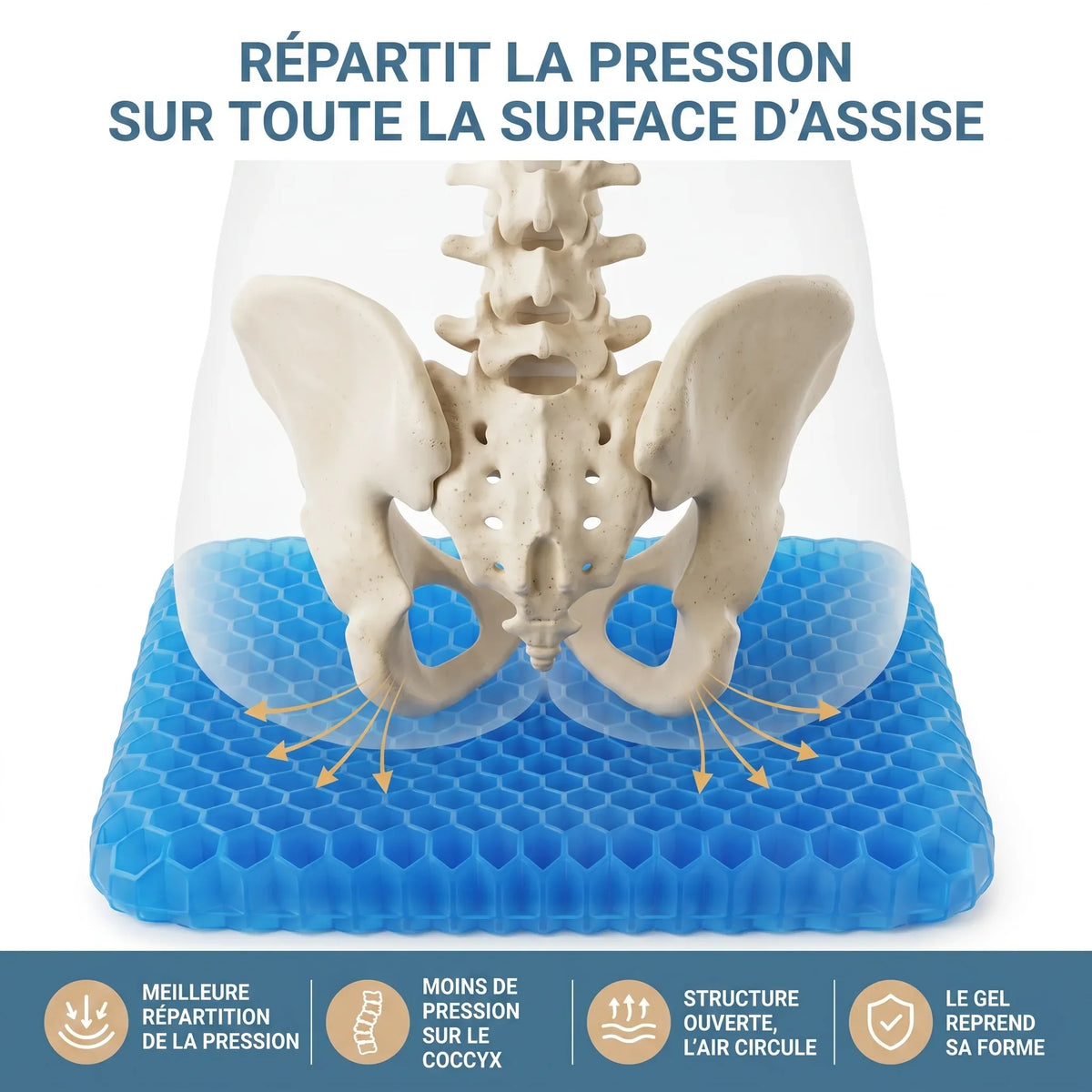 Répartition de la pression sur le coussin en gel Calmyo